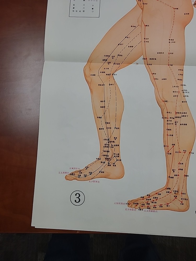 Chinese Acupuncture Point Chart