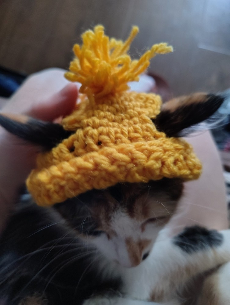 Crochet Cat Boggins