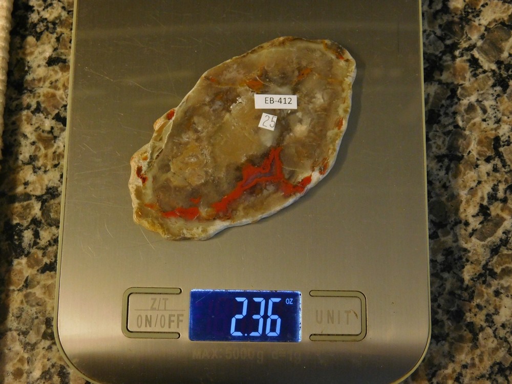 Coprolite Polished Slab for Cabs