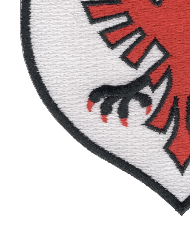 513th Fighter INTCP Squadron Patch