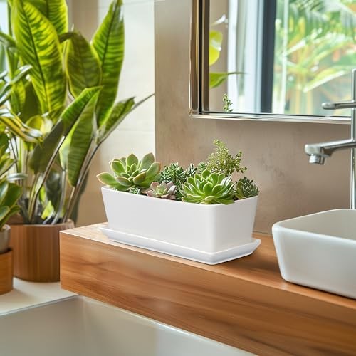 Rectangular Planter - 10 Inch Ceramic Pots for Plants with Drainage Hole and