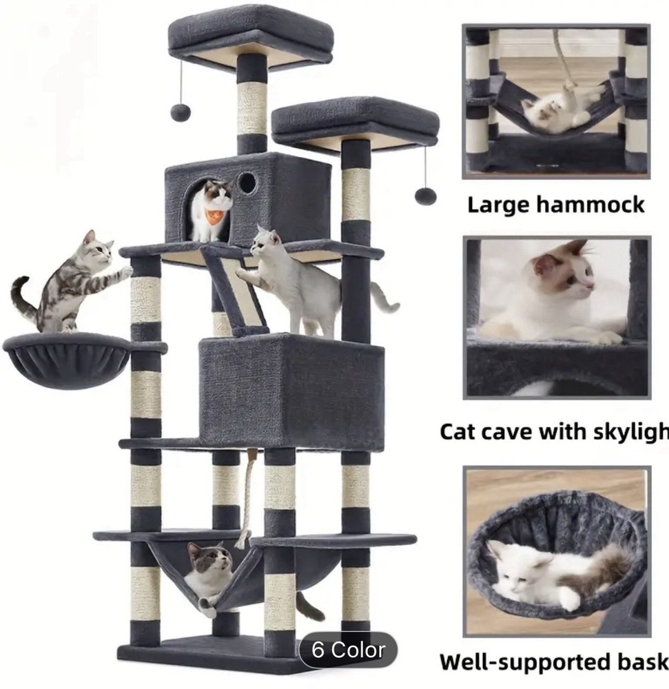 Cat Home