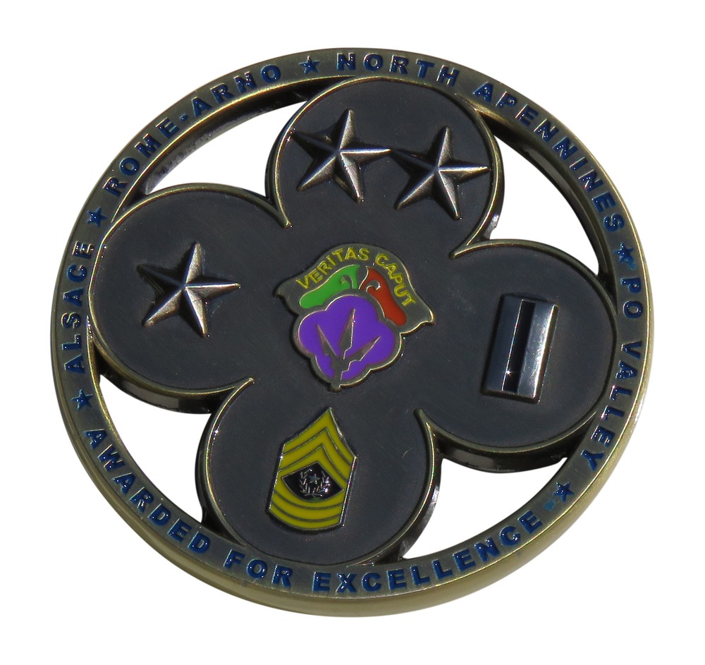 US Army 88th Readiness Division Blue Devils Challenge Coin