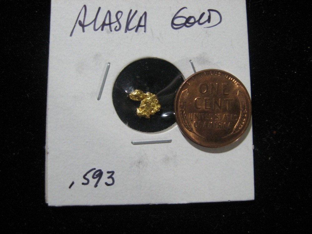 ALASKA GOLD NUGGET  .593 GRAMS