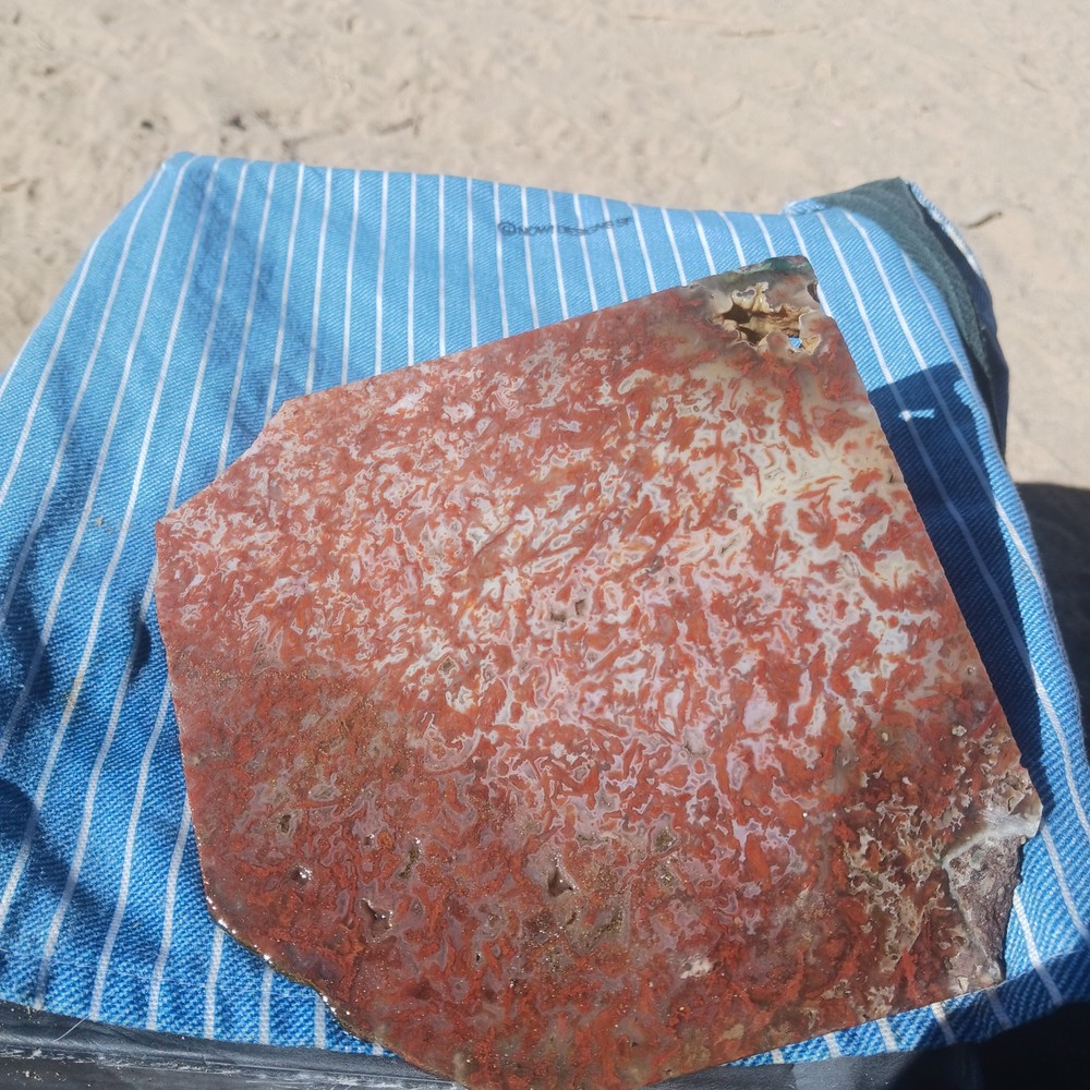 BIG Moss Agate Slab Ready For Lapidary