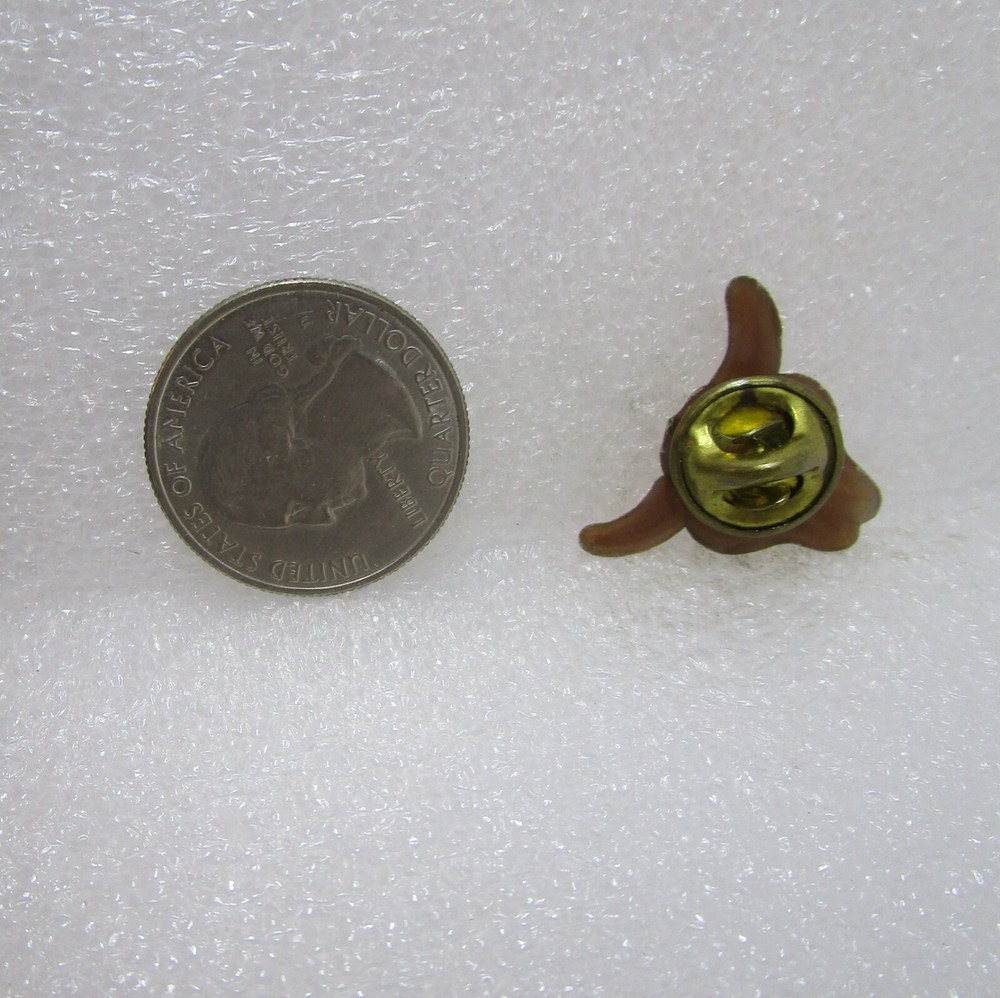 Montana Travel Plastic Pin