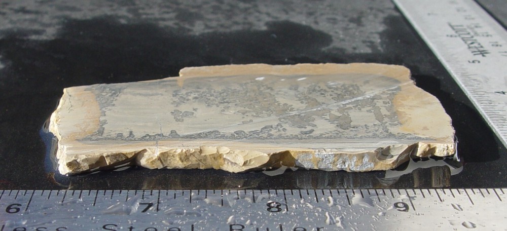 Cotham Marble Lapidary Slab T1029