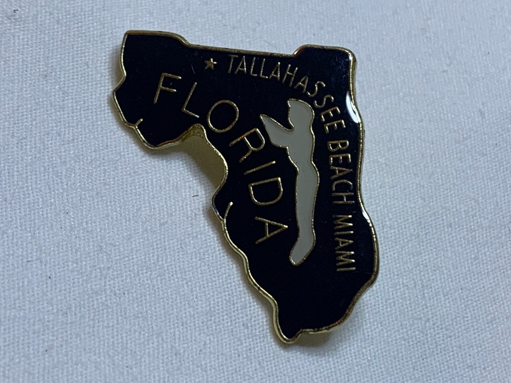 FLORIDA STATE LAPEL PIN NEW
