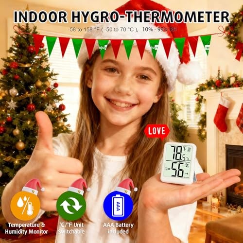Digital Indoor Thermometer Hygrometer AAA