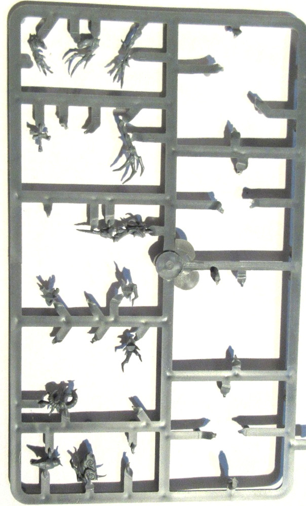 Warhammer Wood Elf Dryads Bits on Sprues