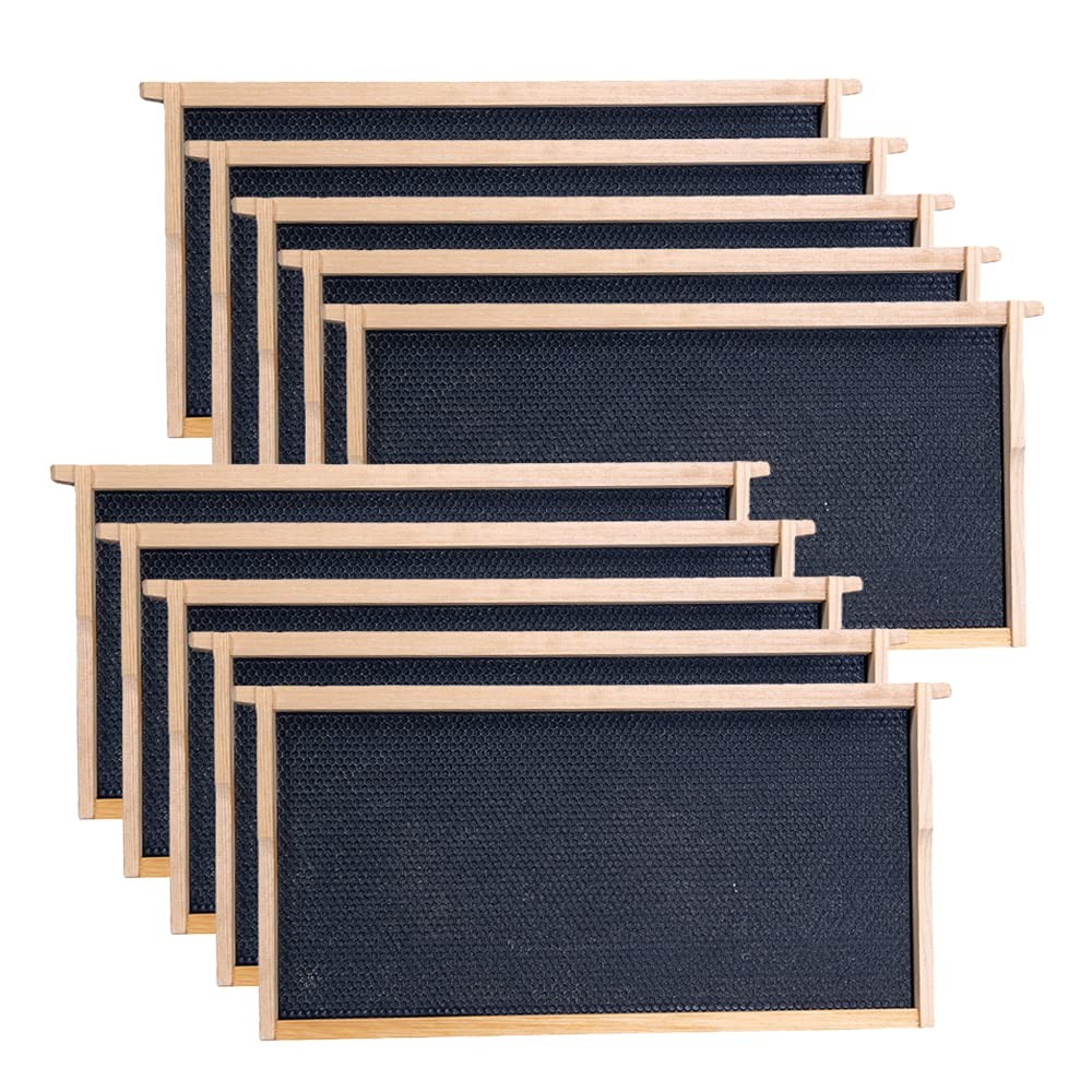Deep Brood Beehive Frames with Wax Foundation, 10 Pack Honey Bee Frames with ...