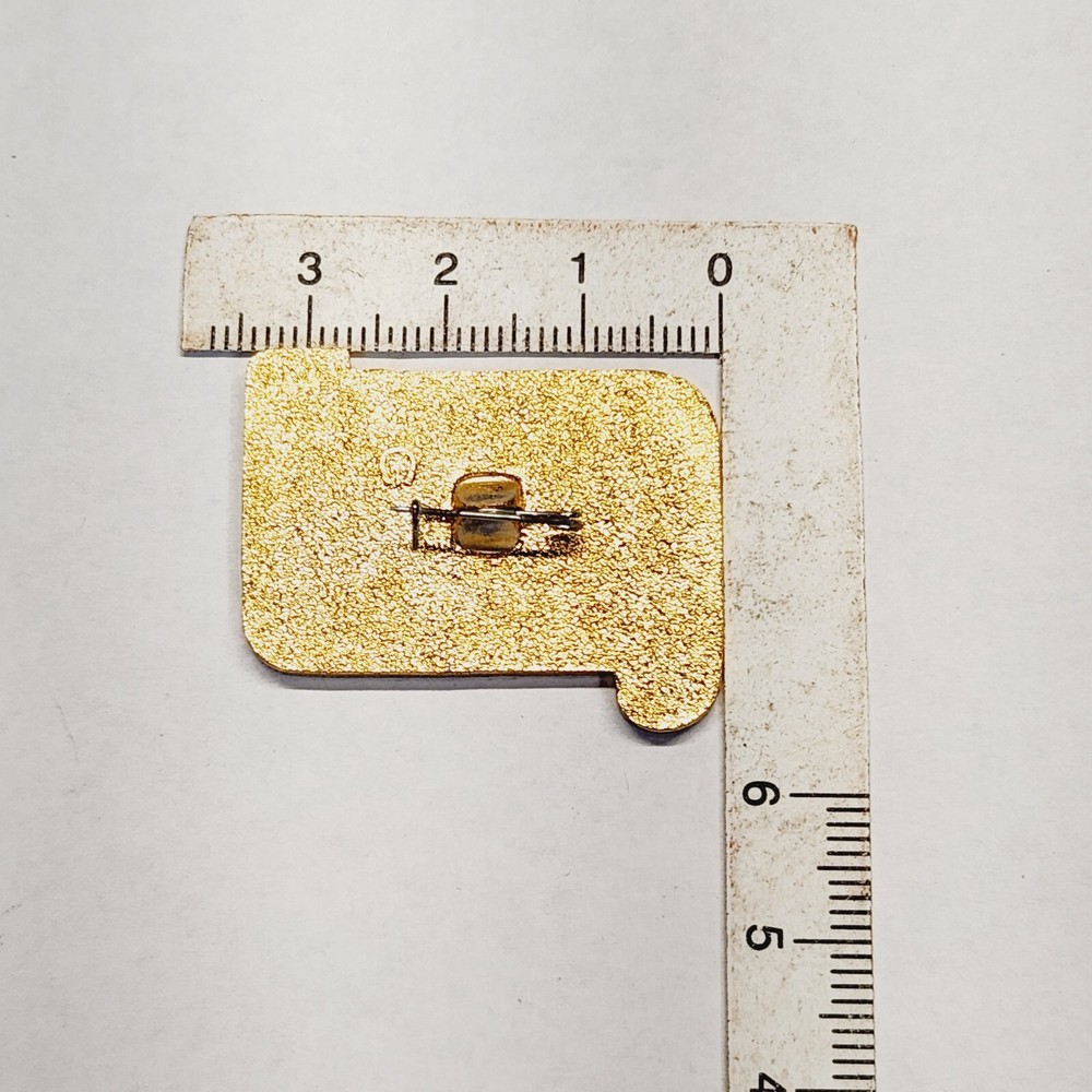 Vintage Russian Pin. B14.