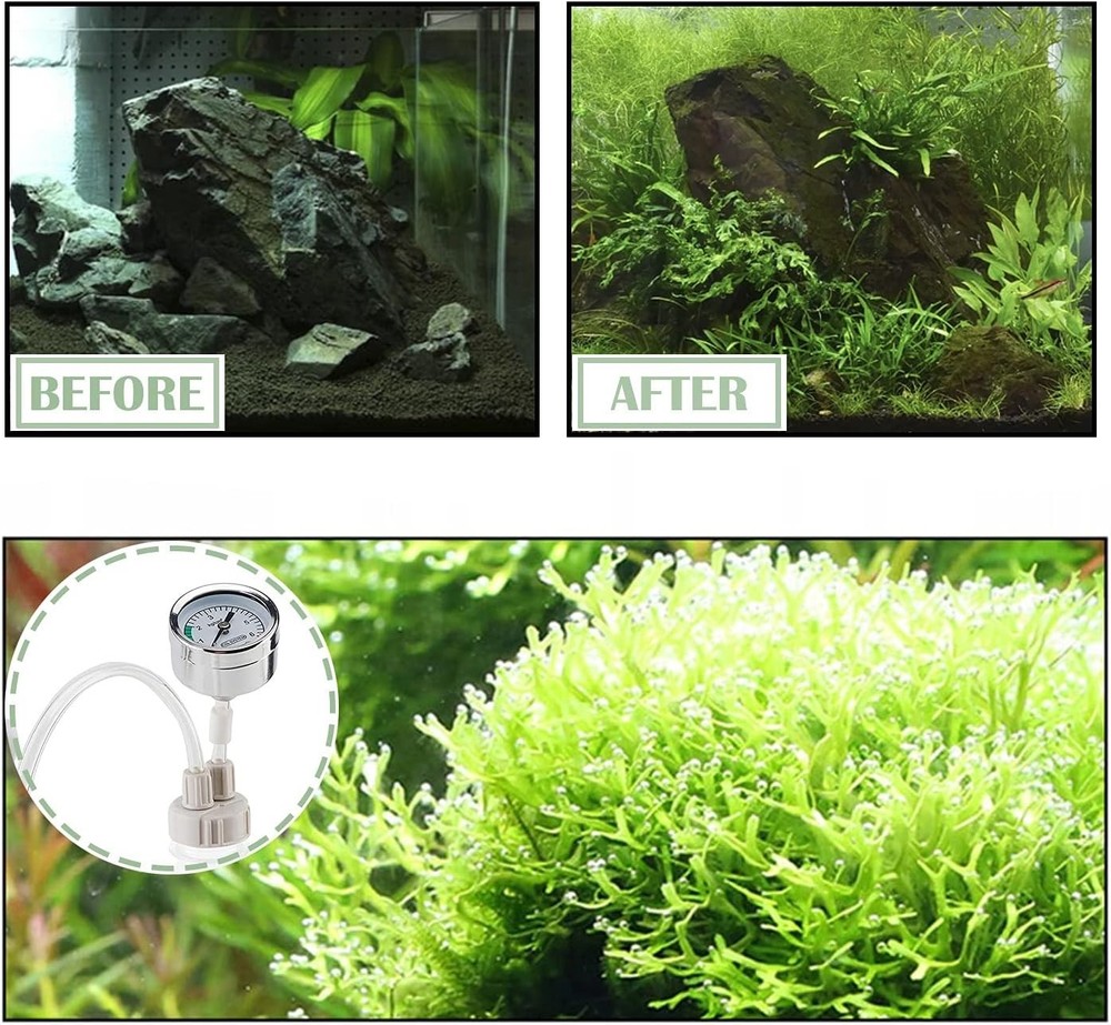 Lightweight DIY CO2 Generator with Pressure Gauge - Modern Aquarium Solution