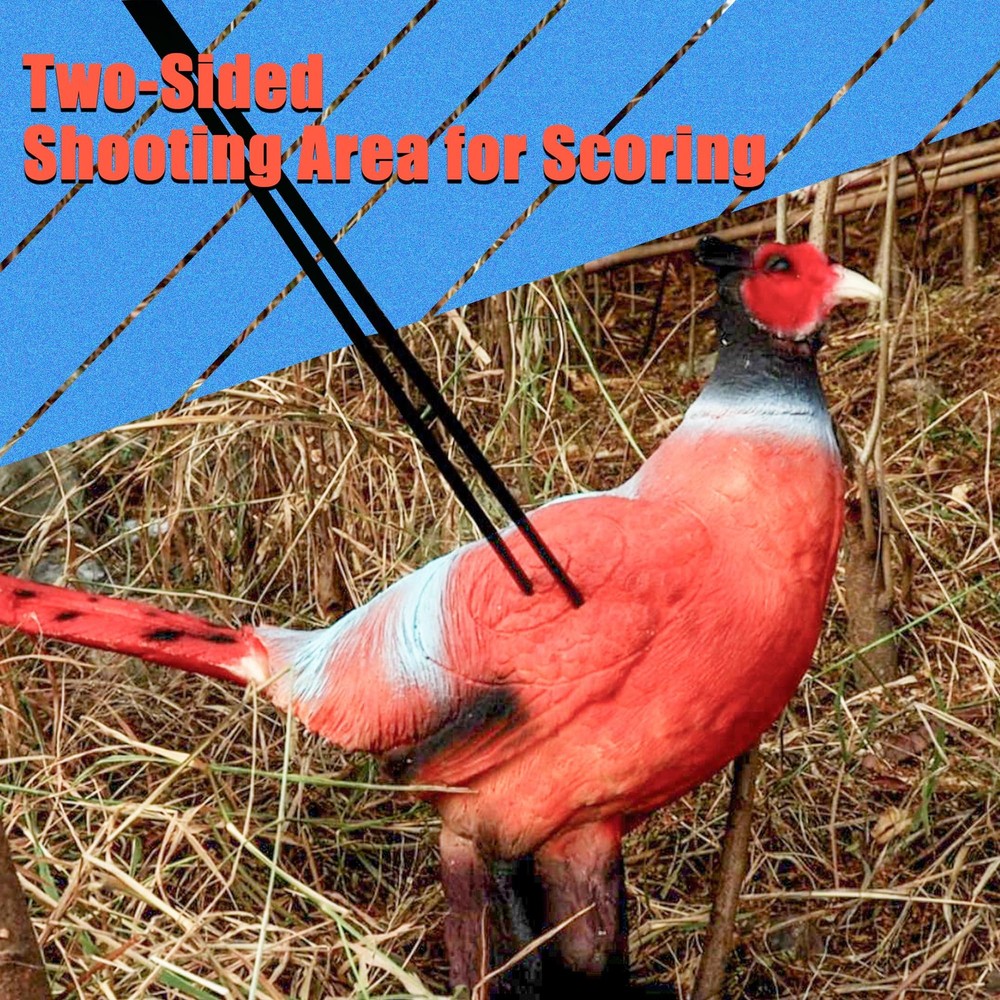 3D Pheasant Archery Target with TwoSided Shooting Range for Bow Training