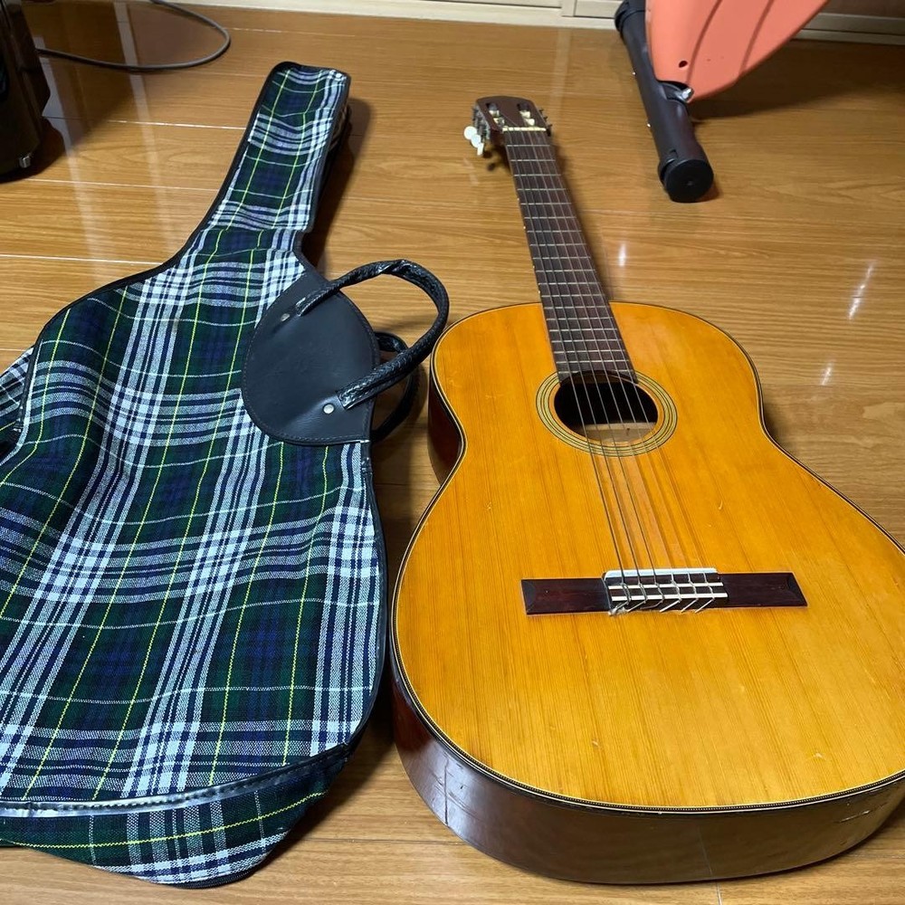 Hashimoto Gut Guitar No232