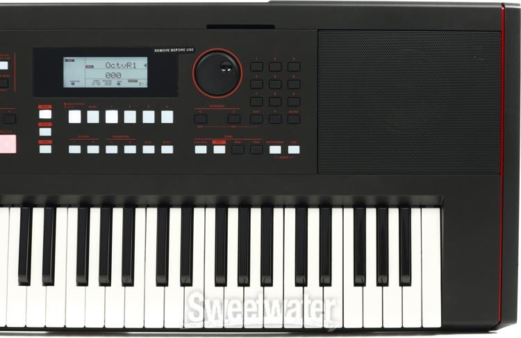 Roland E-X50 61-key Arranger - Black