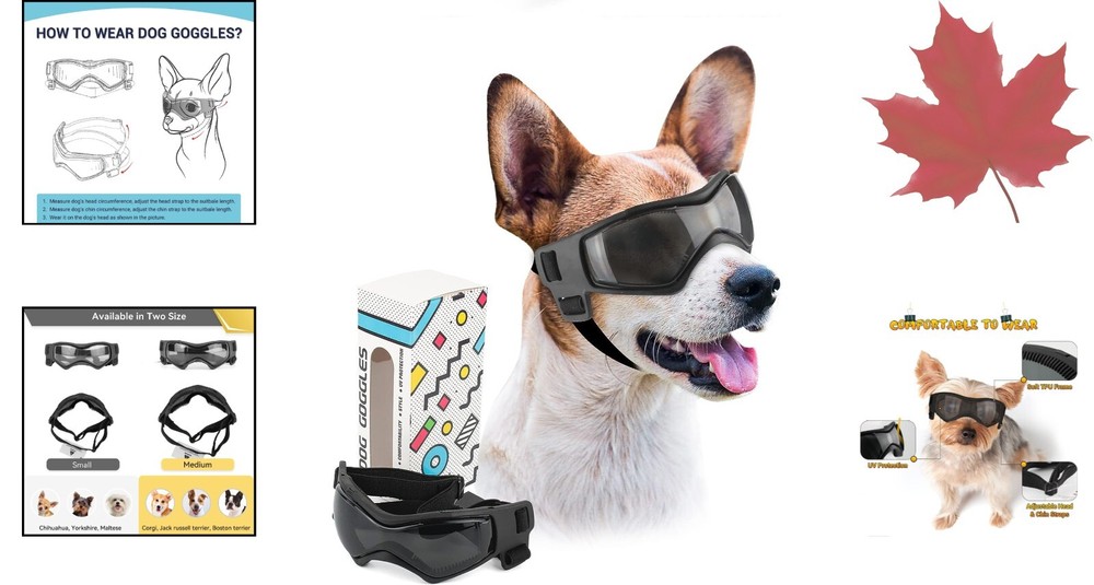 Cooling Dog Sunglasses for Medium Breed - Curved Lens - Size M - Adjustable