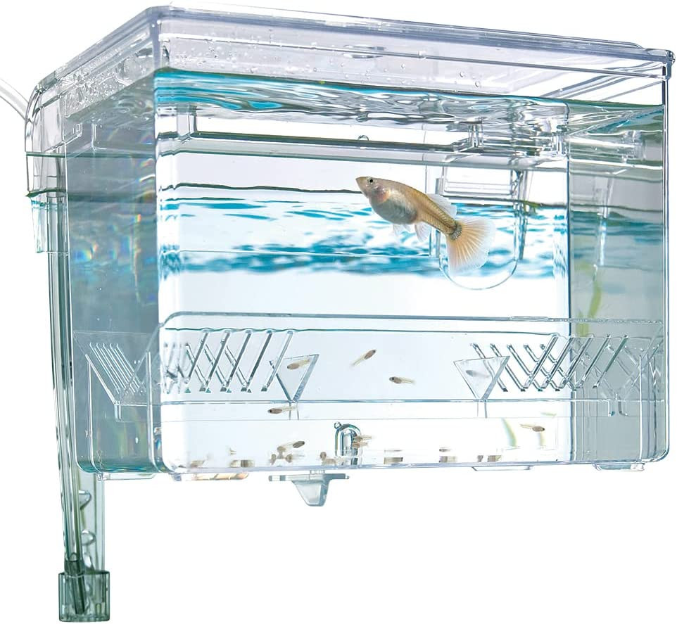 Multi-Chamber Holding and Breeding Box, Medium