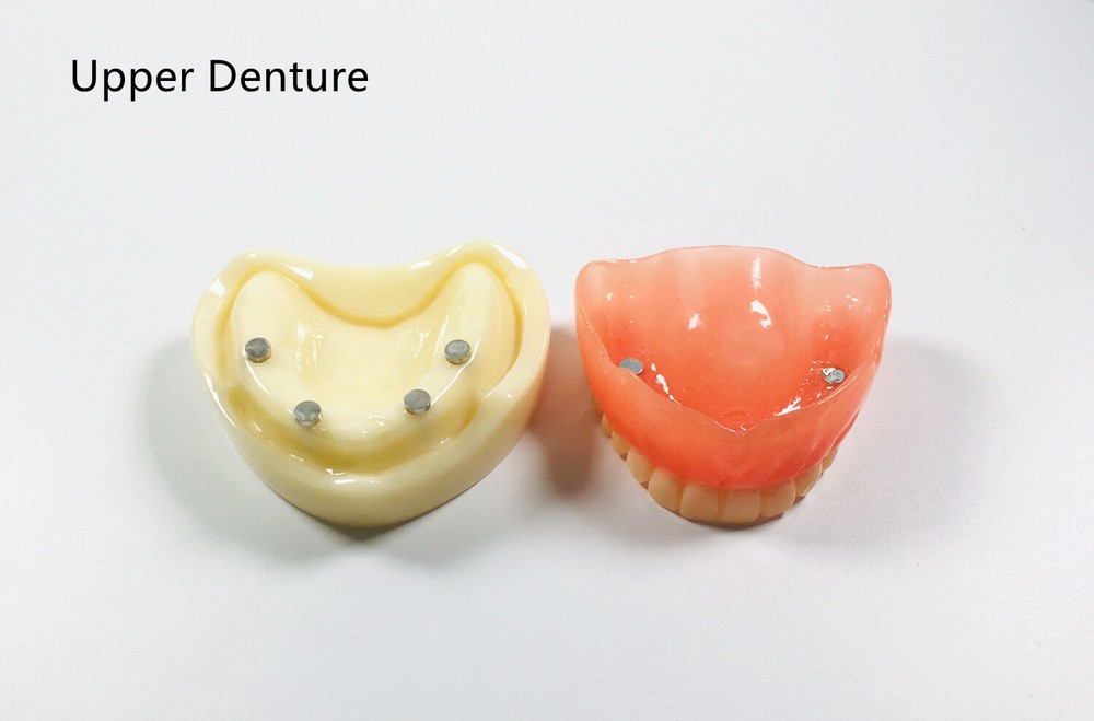 Dental Full Denture Model Magnetic Attachment Mandibular Upper/Lower Study