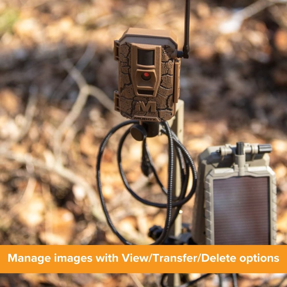 Muddy 4.3 Inch LCD Screen SD Card Reader Viewer Memory Card (2 Pack) Bundle