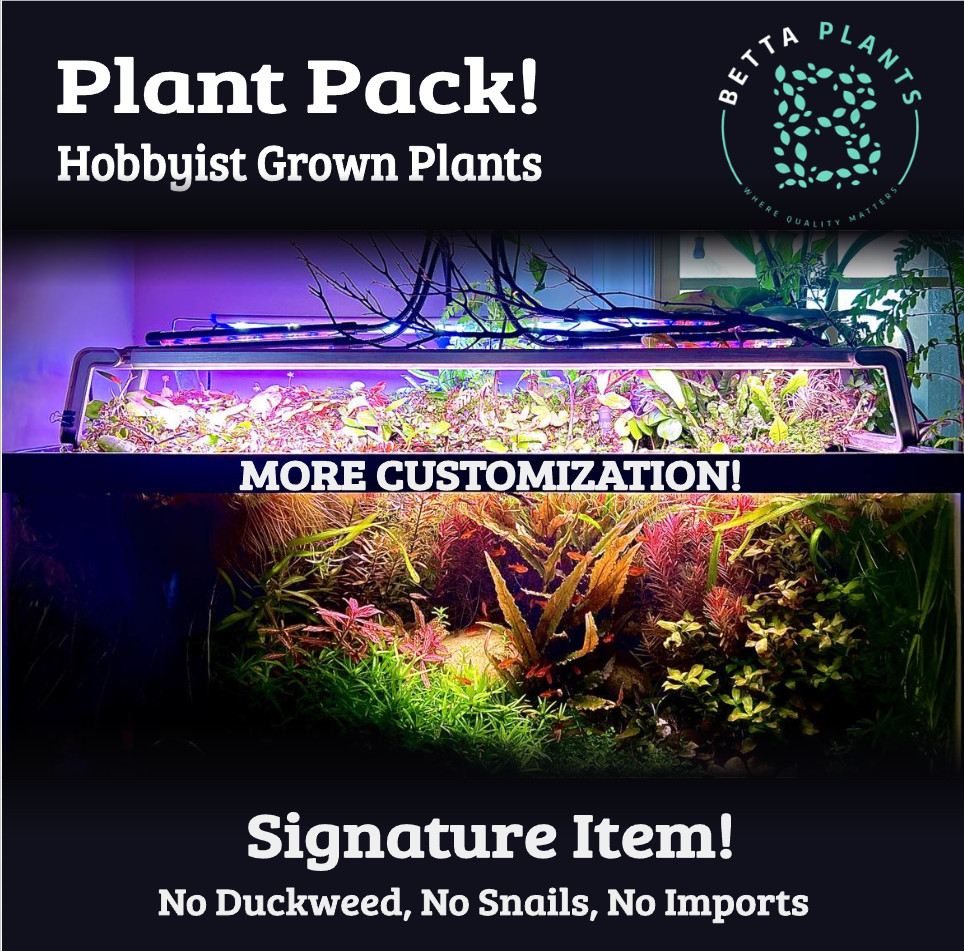 Premium Assorted Beginner Live Aquarium Plants Pack Floaters Red Green
