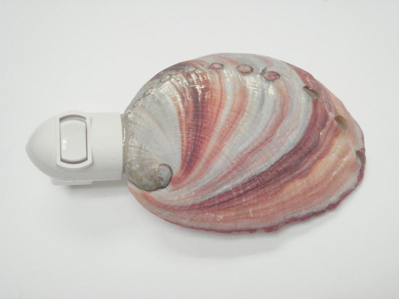 RED ABALONE SEA SHELL NIGHTLIGHT BATHROOM KITCHEN #7119