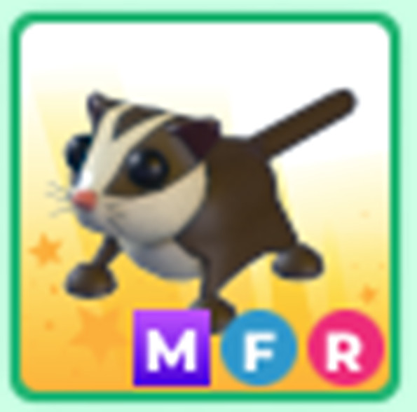 MFR Sugar Glider - Adopt right now