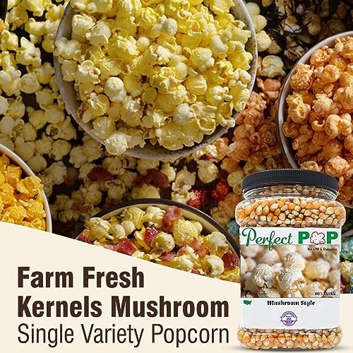 Concession Essentials Premium Gourmet Mushroom Extra Large Assorted Sizes