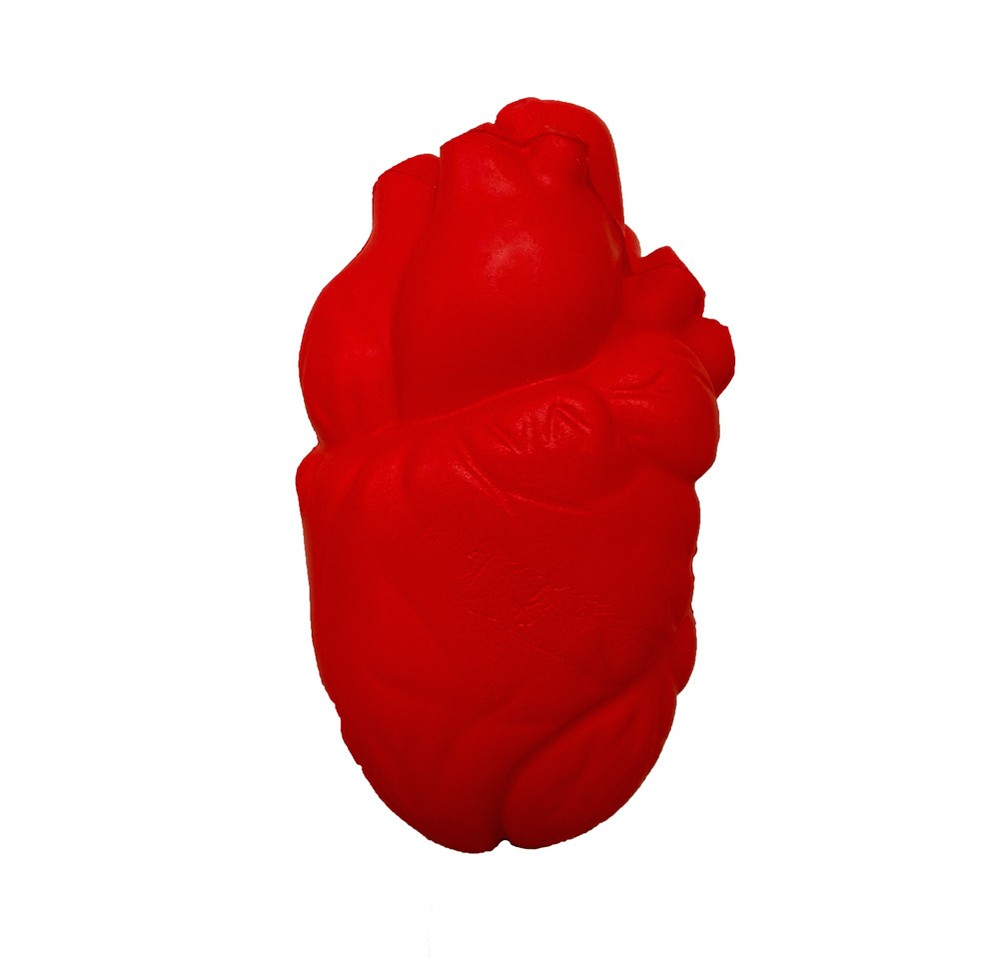 Stress Relief Squeezable Foam Brain & Heart