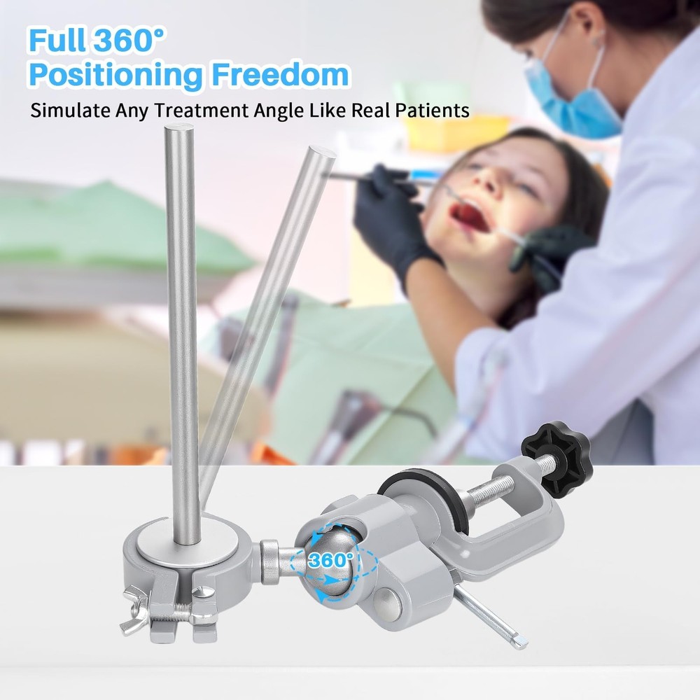 Typodont Teeth Model Mount, Pole Teeth Model Training Mount Fixed on Desk Tra...