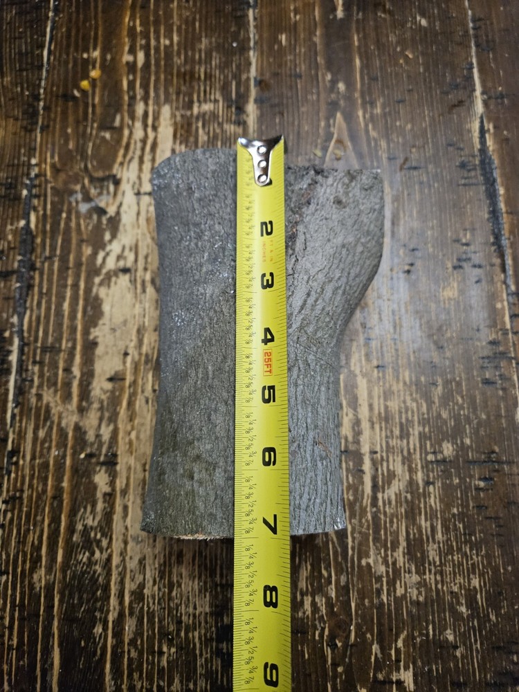 MAPLE Turning Crotch Log 7" Long M4804