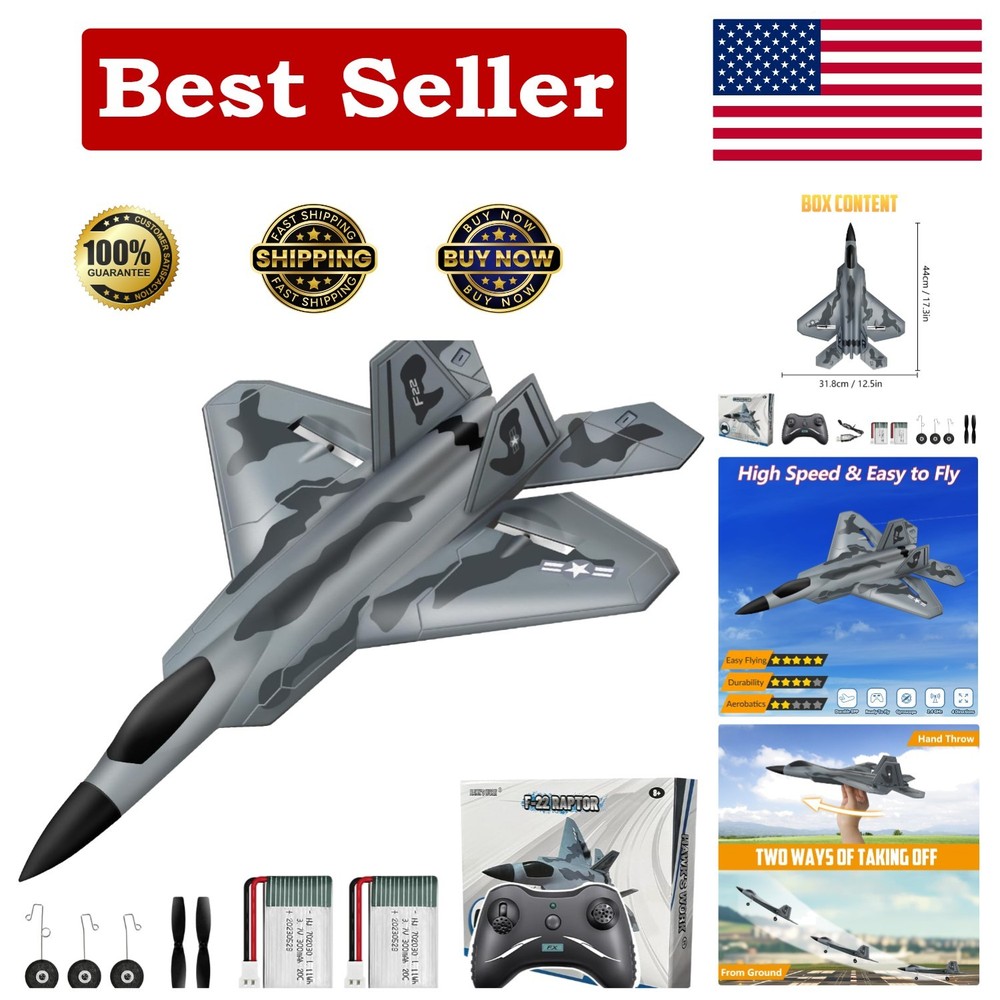 Engaging F-22 RC Airplane - Easy to Fly, Self-Stabilized, Includes Essentials