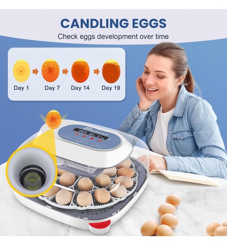 24 Eggs Incubators for Chicken Eggs w/4 Modes, 360° View, Automatic Egg Turning!