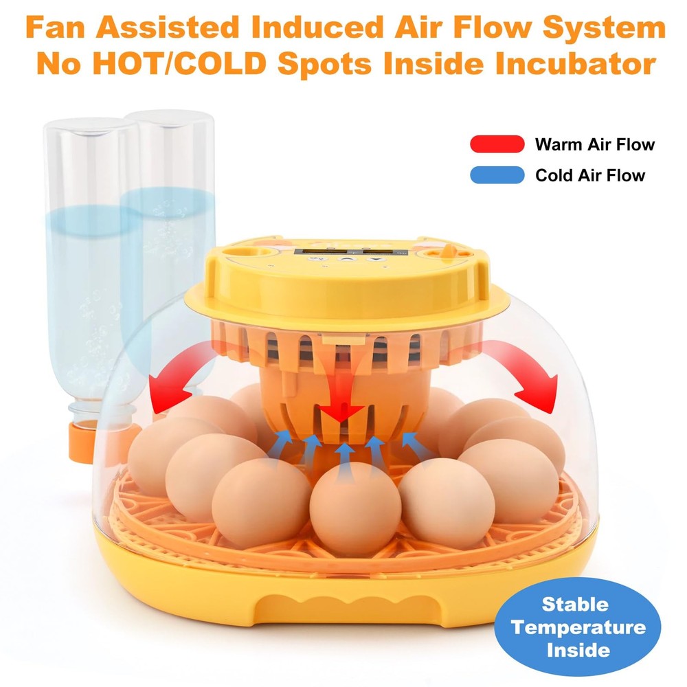 Egg Incubator for Hatching Chicks, Automatic Egg Turner Holds 12 Eggs, Smart ...