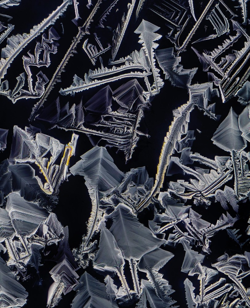 Microscope slide for polarization, Chlorate of Potassium