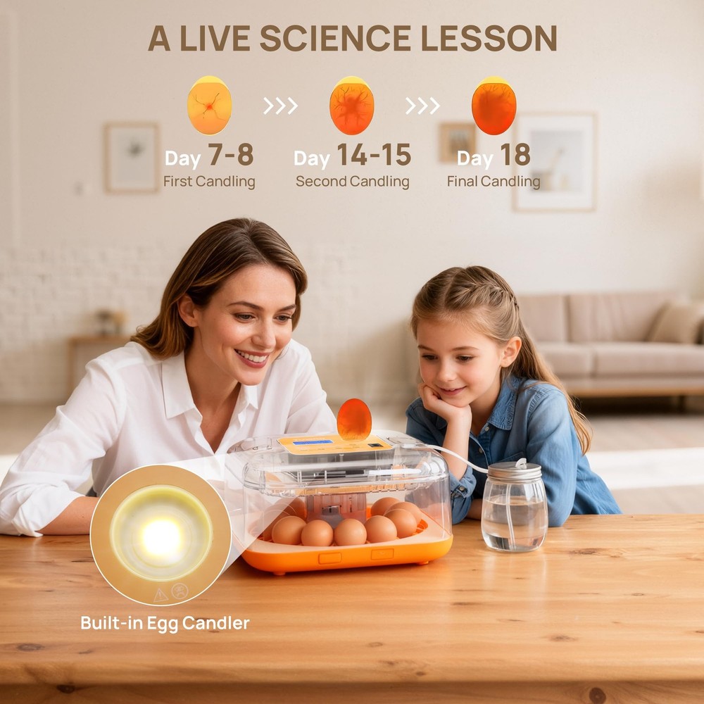 12 Egg Incubator with Automatic Egg Turning, Incubator for Hatching Eggs with...