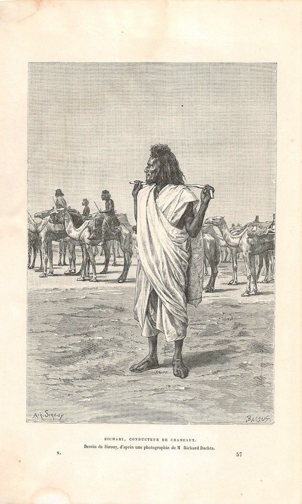 Engraving Egypt - Bichari Camel Driver
