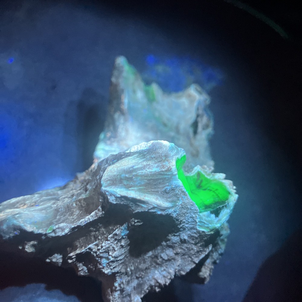 Opalized Petrified Wood Specimen (NM)