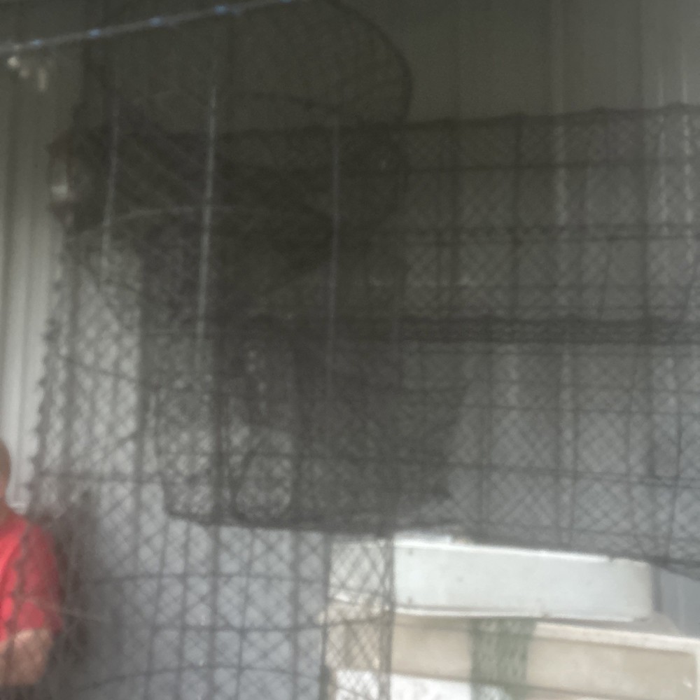 Catfish Trap