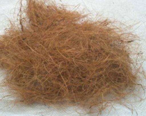 New Ceylon coconut fiber 50g