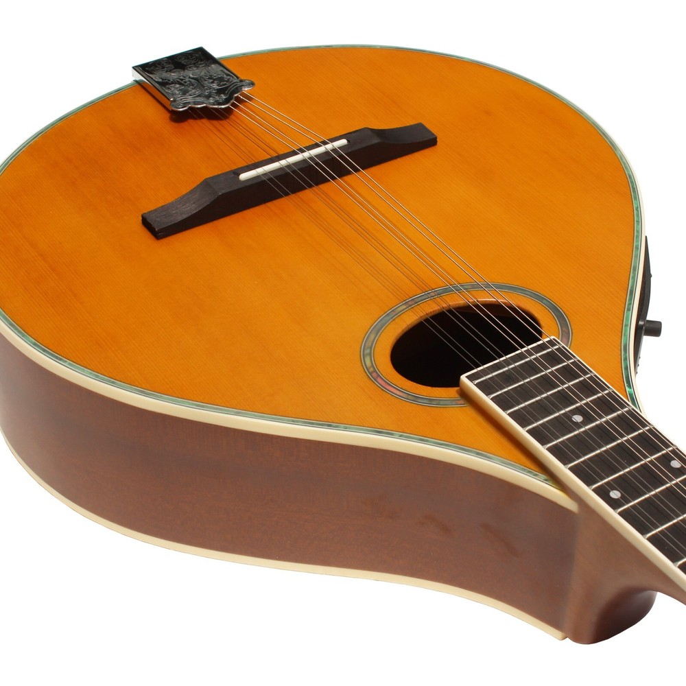Mandola Solid Red pine top / Sapele Back & Sides With EQ