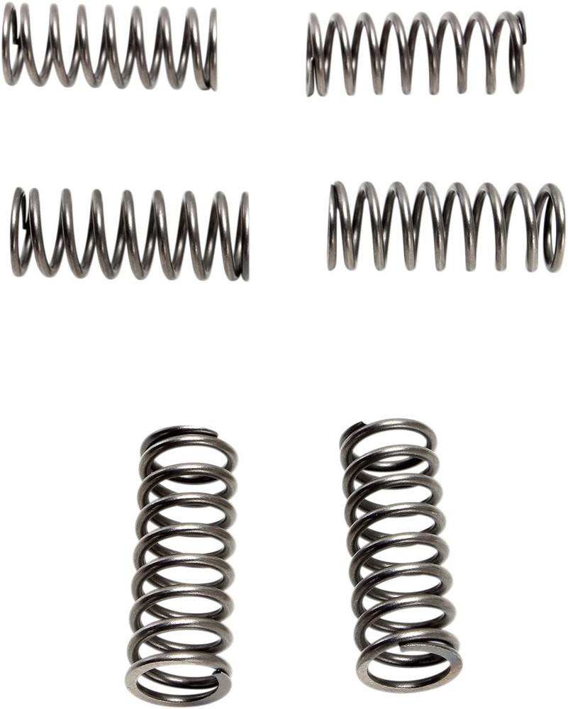EBC CSK Clutch Spring Set (CSK198)