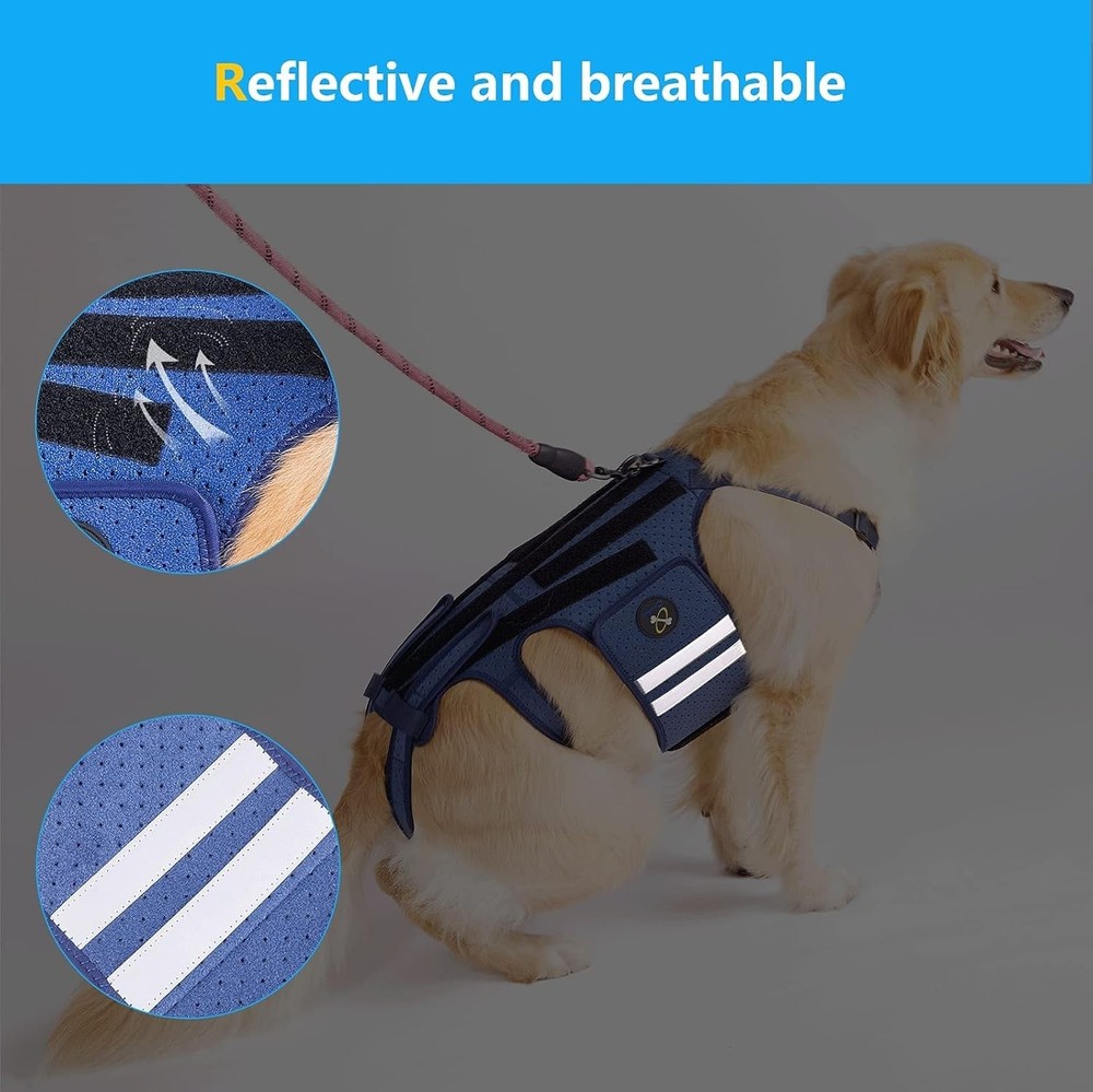 Reflective Dog Back Bracer for Arthritis Relief, Blue-Medium