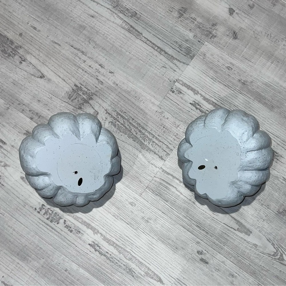 Pair of Gray Pumpkins