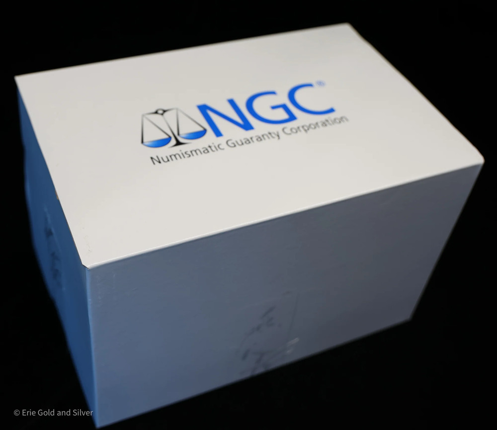 Large NGC Cardboard Storage Slab Box Holds 7 Slabs