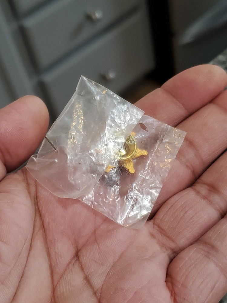 Tennessee Sheriff Pin