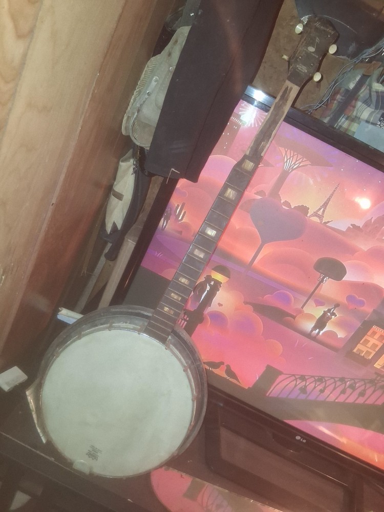 Vintage 1964 Banjo