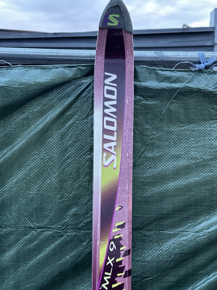 Salomon Monocoque 198 Cm Skies