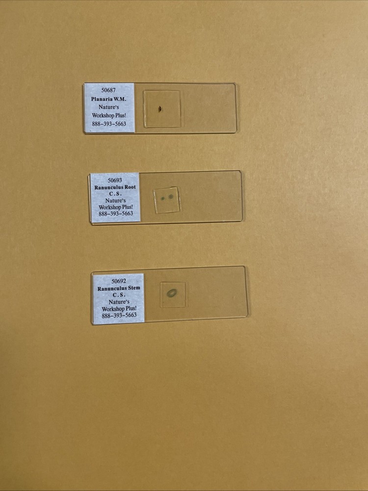 Slide Set for Exploring Creation with Biology - Nature’s Workshop Plus!