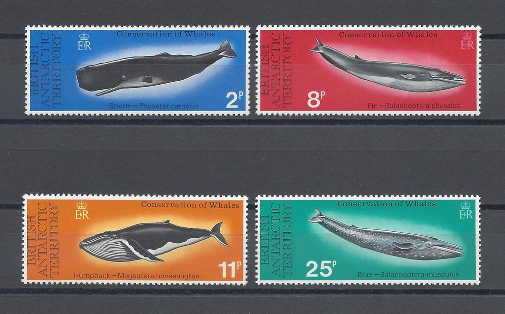 BRITISH ANTARCTIC TERRITORY 1977 SG 79/82 MNH